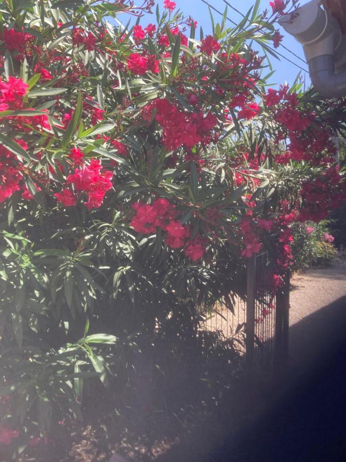 Villa Au cœur de la Pinède de 1 à 4 personnes Langlade Esterno foto